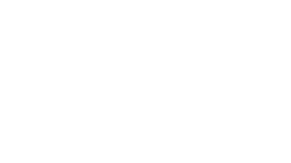 BonTech Home Services logo white